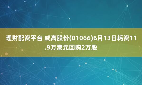 理财配资平台 威高股份(01066)6月13日耗资11.9万港元回购2万股
